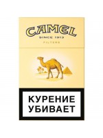 Camel